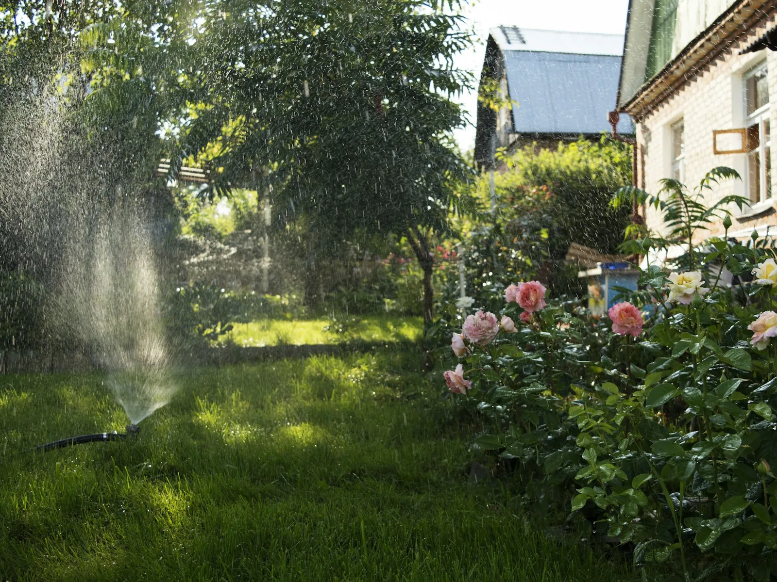 A lawn sprinkler watering a residential lawn and flowerbed