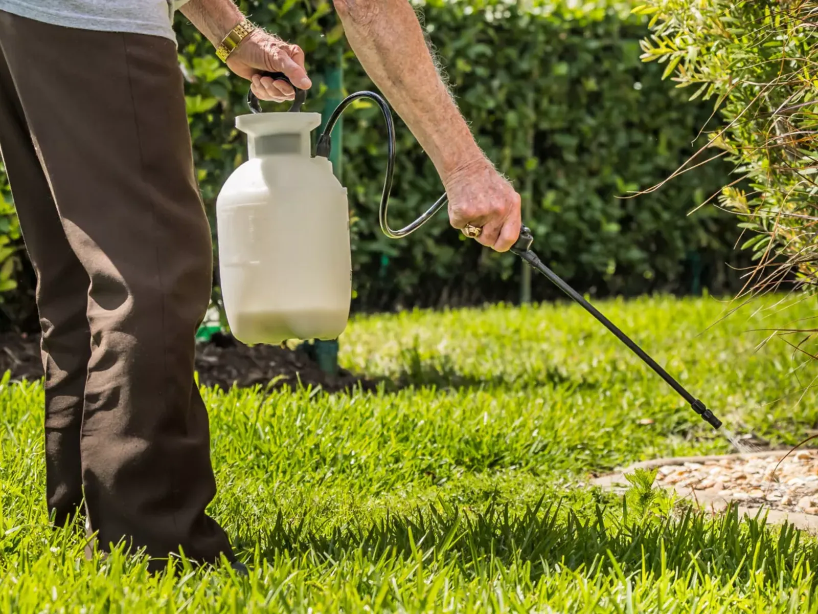 Applying a targeted outdoor spray treatment along a residential lawn and planting bed